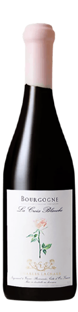 Charles Lachaux Bourgogne la Croix Blanche Rouge