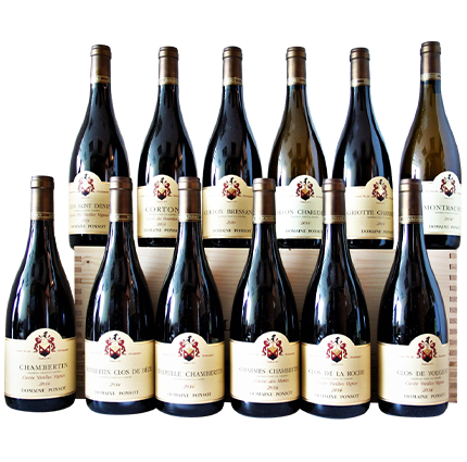 Ponsot Assortment Case 2014 430x425