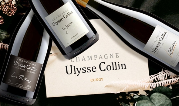 Champagne Ulysse Collin